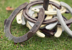 Horseshoes game