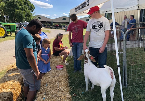 Let's Talk Livestock