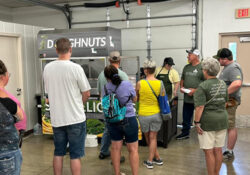 Soy Donuts - Missouri Soybean