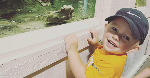 A little boy looking at an animal exhibit at the Missouri State Fair